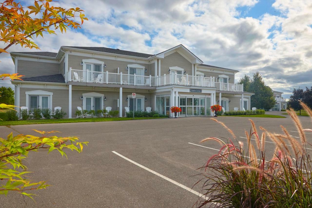 The Waring House Otel Picton Dış mekan fotoğraf